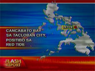 Cancabato Bay in Tacloban City positive for red tide