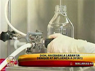 DOH warns public vs dengue, A(H1N1)