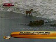 It's back to normal for many storm victims