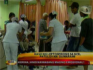 DOH remains on alert vs leptospirosis, dengue
