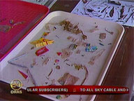 Plastic found in the belly of dead whale shark in Manila Bay