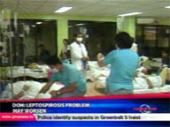 <b>QTV: </b>DOH focuses on surge of leptospirosis cases