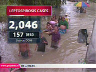 <b>QTV: </b>DOH lists 2,046 leptospirosis cases; 157 dead
