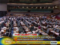 Senate OKs P12-B supplemental budget for cyclone victims