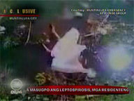 Cash offered for every dead rat as Pasig combats leptospirosis