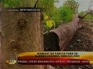 Floods blamed on land conversion, illegal logging and charcoal-making