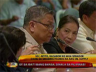 Senators grill DOE's Reyes over statement on fuel shortage