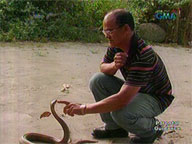 <b>Kapuso Mo Jessica Soho: </b>Ahas sa Negosyo