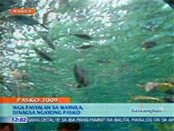  QTV:  Pinoys flock to parks to celebrate Christmas