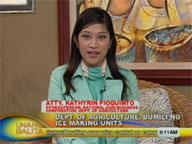 DA National Agri-Business Corporation's Atty. Kathyrin Pioquinto on Agri dept's ice-making units