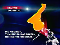 Ship stalls in the middle of voyage off Negros Oriental
