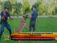 Overseas employment opportunity: Dubai needs dog handlers