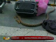 Phyton found at NAIA's departure area