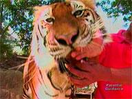  Kapuso Mo, Jessica Soho:  Year of the Tiger