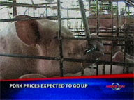  QTV:  Pork prices expected to go up