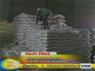 Price of rice grain in Central Luzon goes up