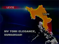 Cargo vessel runs aground off Leyte province