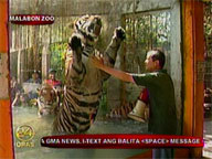 Malabon Zoo animals go on pre-Valentine date