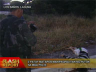 2 killed in Los Ba&ntilde;os, Laguna after shootout with police