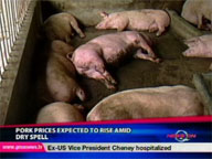  QTV:  Pork prices expected to rise amid dry spell