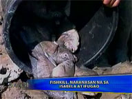 <b>Saksi: </b>Fishkill incidents spread to Isabela, Ifugao