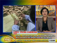 DSWD gives assistance to farmers affected by El Ni&ntilde;o