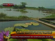 BFAR: Fish ponds in 3 Pampanga towns affected by dry spell