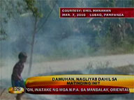  Youscoop:  Jeep slams into Elf truck in Lubao, Pampanga