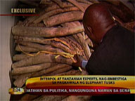 Interpol, Tanzanian experts probe missing elephant tusks