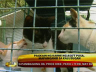 Dogs, cats not safe to eat, health experts say