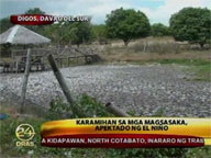 El Ni&ntilde;o brings P128-M damage to agriculture in Kidapawan, Cotabato