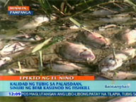   QTV:   BFAR inspects fishponds in Pampanga after fish kill