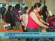 <b>QTV:</b> 114 maltreated OFWs from Saudi Arabia arrive home