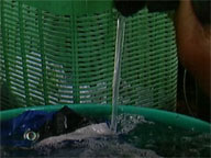  Saksi:  MWSS intensifies crackdown on illegal water connections