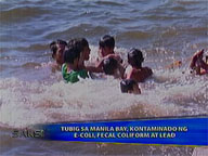  Saksi:  Manila Bay waters contaminated by E. coli, fecal coliform, lead