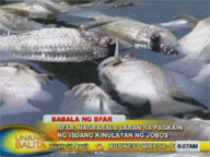 BFAR warns public against eating dye-tainted fish