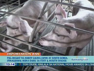  QTV:  Pork from Japan and South Korea banned after foot-and-mouth-disease scare