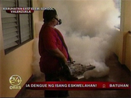  24oras:  Dengue triggers Iloilo state of calamity