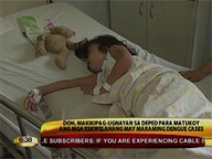  24oras:  DOH to coordinate with DepEd in fight vs dengue