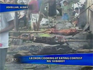  Saksi:  18 pigs in lechon-cooking contest in Jovellar, Albay