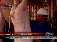 Vigan boasts of oldest school for butchers