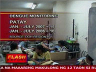 Dengue kills 15 in western Visayas