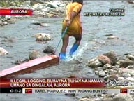 Illegal logging still rampant in Dingalan, Aurora