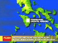 Oil spill affects Maestre de Campo island