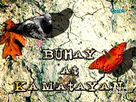 <b>100% Pinoy:</b> Buhay at Kamatayan