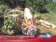 Illegal logs discovered in Aurora