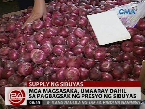 Mga magsasaka, umaaray dahil sa pagbagsak ng presyo ng sibuyas  Video