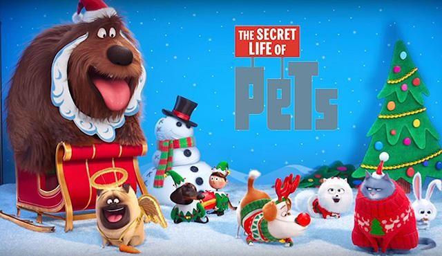 A Secret Between Friends Full Movie A Secret Between Friends Full Movie