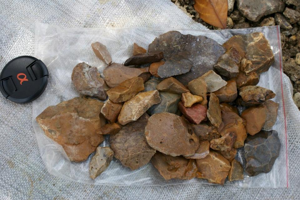 Mysterious ancient humans once lived alongside Indonesia s