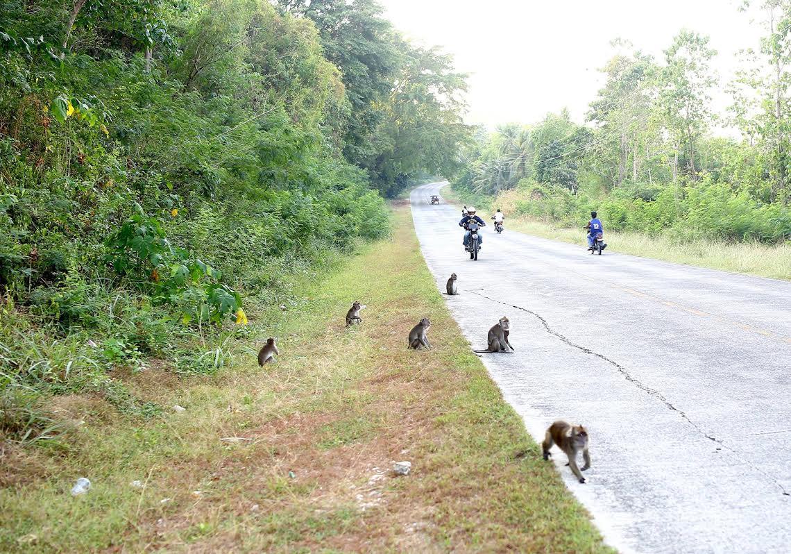 Photo by Ferdinandh Cabrera